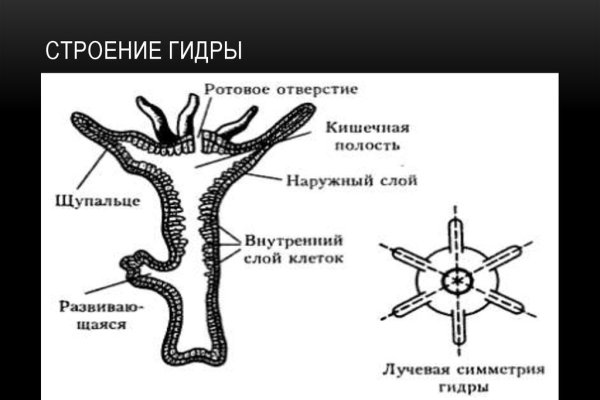 Современный маркетплейс kraken door