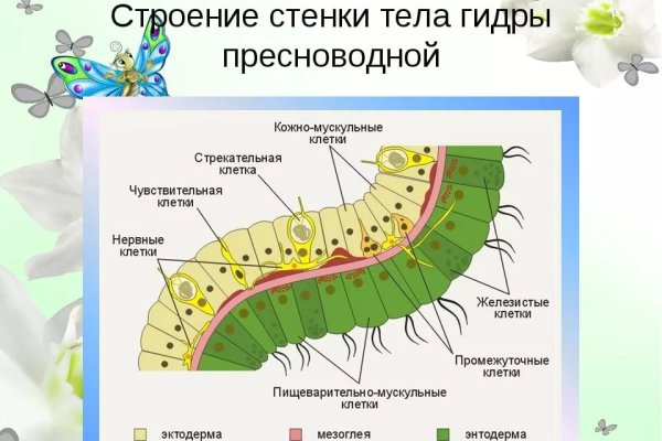 Https kraken at