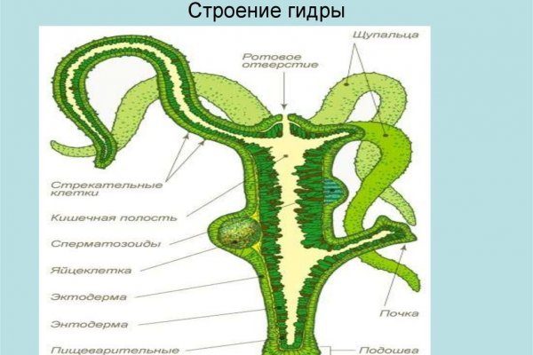 Кракен даркнет kraken014 com