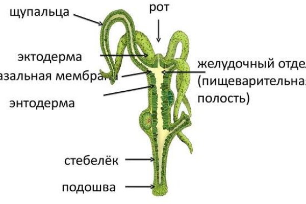 Как восстановить аккаунт кракен