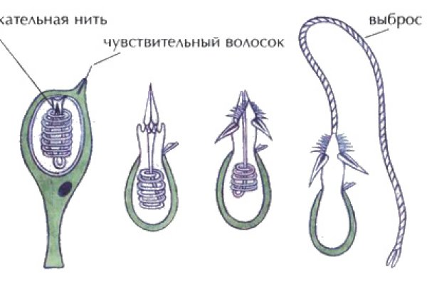 Почему не закрыт сайт кракен